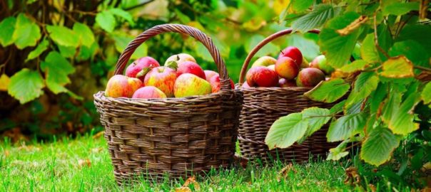  90 ani de la prima cercetare sociologică în Drăguş