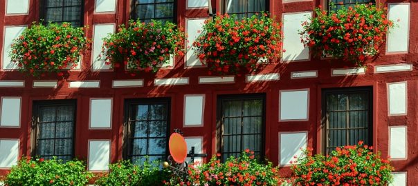  Adrian Munteanu: „Am pus zăbrele la ferestre” – Un sonet pe zi