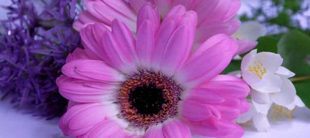  „Cine sunt eu?”, de Adrian Munteanu – Un sonet pe zi (text și interpretare)