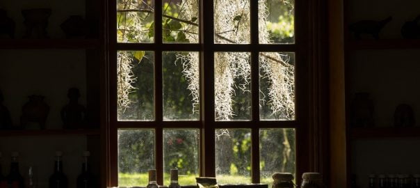  Un sonet pe zi – Adrian Munteanu: „Straturi de praf”