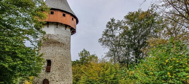  Sonetul românesc: „Clădesc cetăţi din putrede cuvinte”, de Adrian Munteanu – text și interpretarea autorului