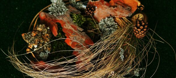  Pași prin cetate: „Inflorescență lăuntrică”, de Mihaela Malea Stroe