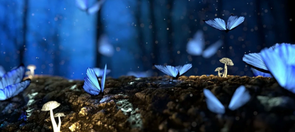  Poveștile lui Adrian Munteanu: „Introducere în Lumea Poveștilor”