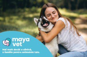 MayaVet - Cabinet Veterinar in Brasov