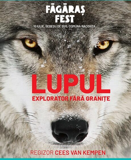  „Wolf”, documentarul multipremiat despre revenirea lupului în Europa, ajunge la Făgăraș Fest 2026