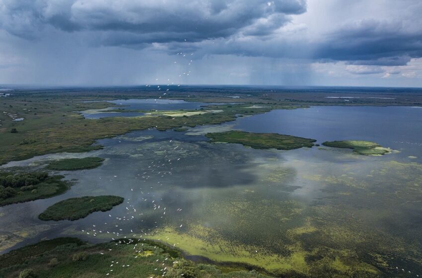  „Delta Sălbatică”, primul documentar românesc de amploare dedicat Deltei Dunării, prezentat în premieră în cadrul LYNX FESTIVAL!