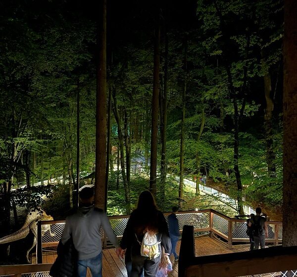  Noaptea Muzeelor: Muzeul Pădurii din cadrul Dino Parc Râșnov a atras peste 2.500 de vizitatori