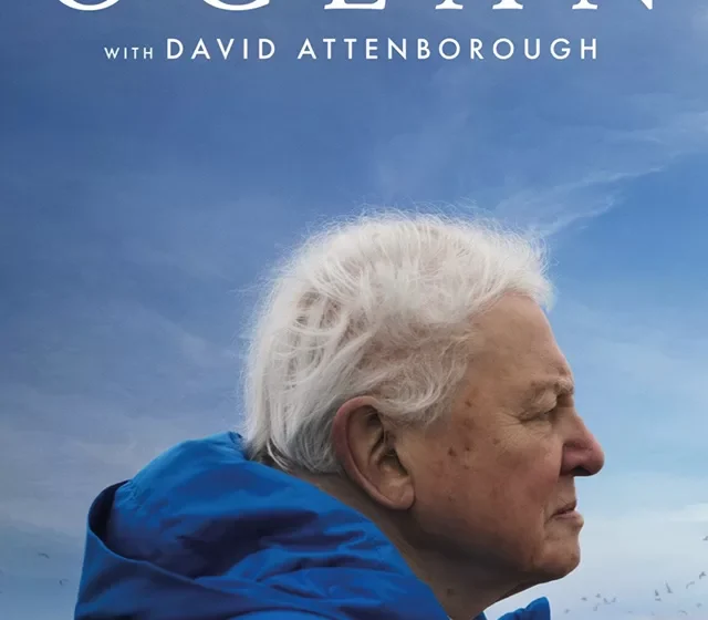  LYNX festival – The Danube Delta and the Healing Power of Nature – Delta Dunării și puterea vindecătoare a naturii / Ocean with David Attenborough – Oceanul cu David Attenborough / Ocean – în culisele filmului / Proiecție Premiul Publicului